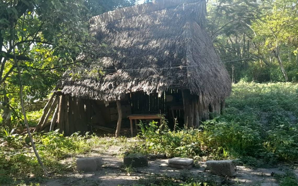 Casas De La Cultura Ngiba En Peligro De Extinci N En La Zona De La